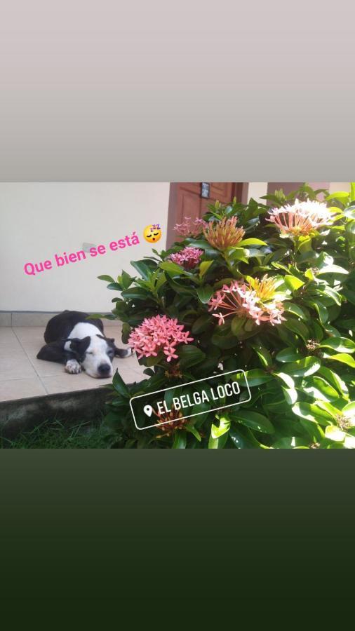 El Belga Loco Hotel Las Penitas Ngoại thất bức ảnh
