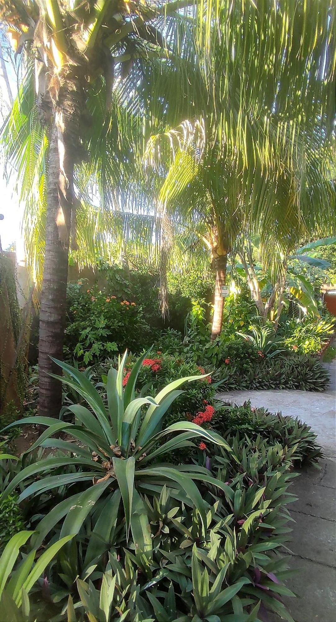 El Belga Loco Hotel Las Penitas Ngoại thất bức ảnh