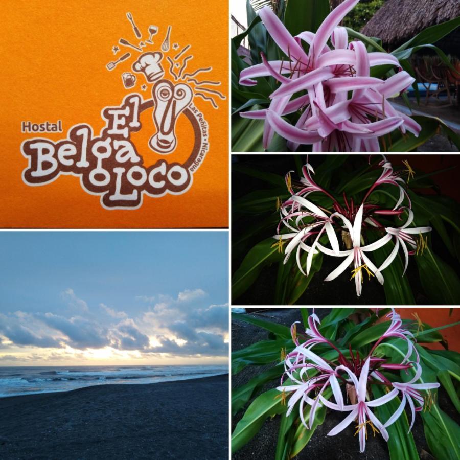 El Belga Loco Hotel Las Penitas Ngoại thất bức ảnh